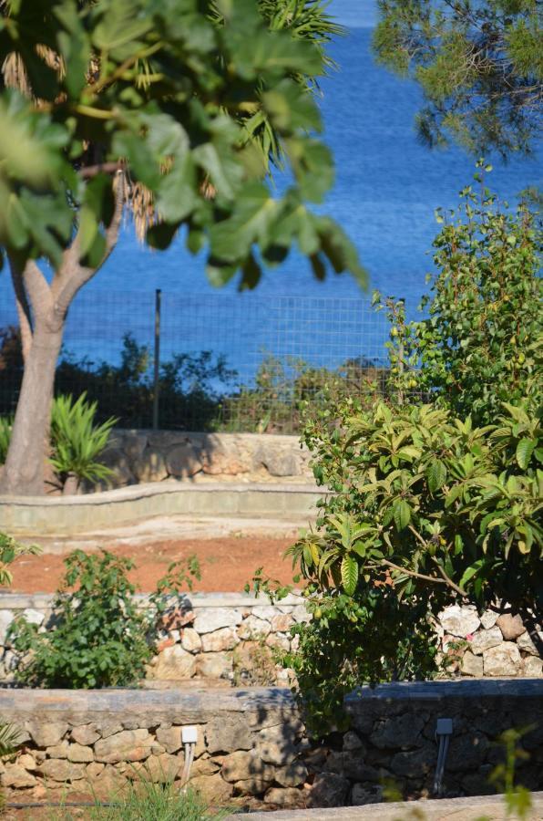 Ploes Luxury Cottages Pesádha المظهر الخارجي الصورة