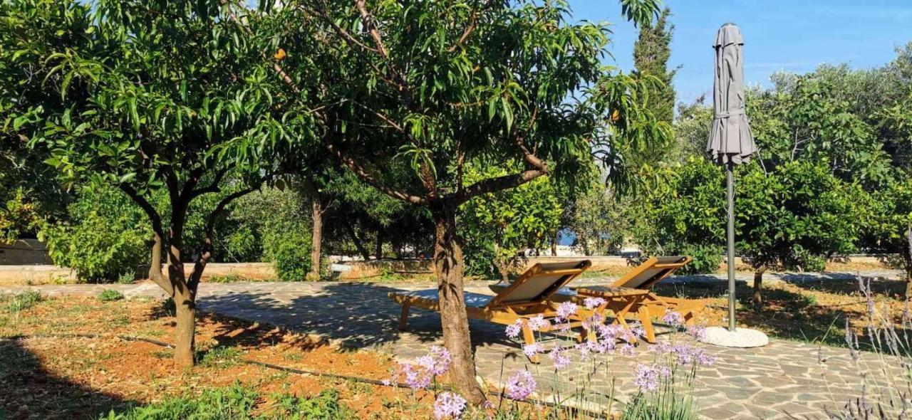 Ploes Luxury Cottages Pesádha المظهر الخارجي الصورة