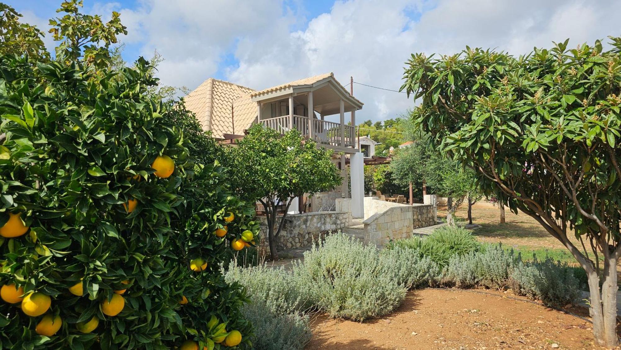 Ploes Luxury Cottages Pesádha المظهر الخارجي الصورة