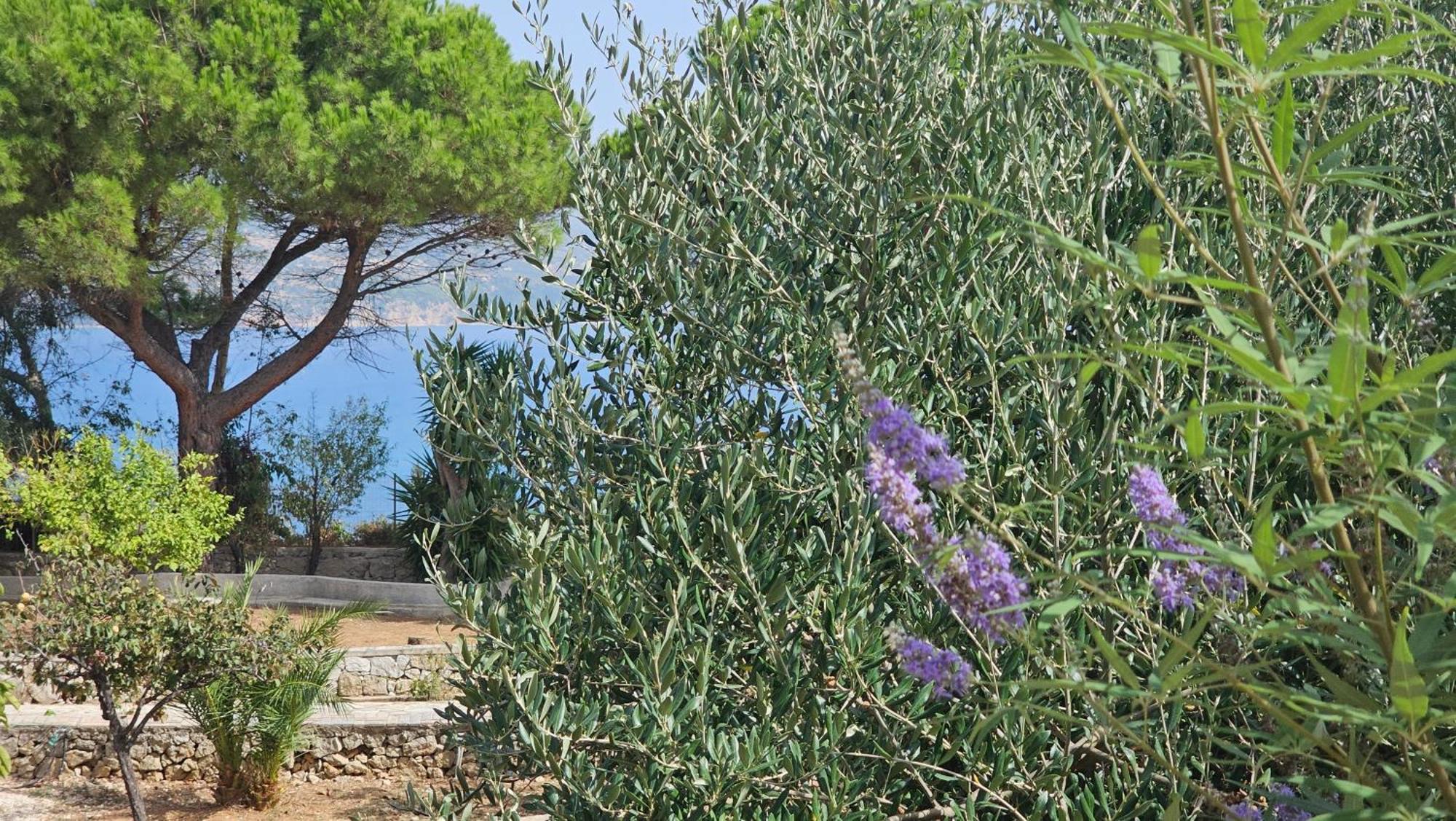 Ploes Luxury Cottages Pesádha المظهر الخارجي الصورة
